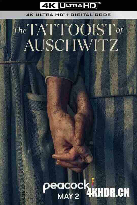 奥斯威辛的刺青师 The Tattooist of Auschwitz (2024) / 刺青师的美丽人生 / 4K电影下载 / The.Tattooist.of.Auschwitz.S01.COMPLETE.2160p.WEB.H265