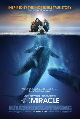 鲸奇 Big Miracle (2012) / 鲸奇之旅(台) / 人人都爱鲸鱼 / 巨大奇迹 / 4K电影下载 / 夸克网盘分享 / Big.Miracle.2012.2160p.HQ.WEB-DL.H265.AAC