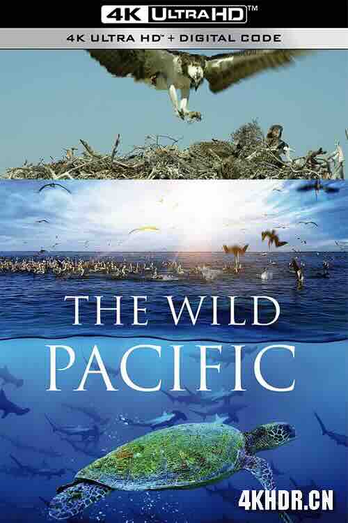 狂野太平洋 The Wild Pacific (2016) / 4K纪录片下载 / The.Wild.Pacific.2015.DOCU.2160p.BluRay.REMUX.HEVC.DTS-HD.MA.5.1-FGT