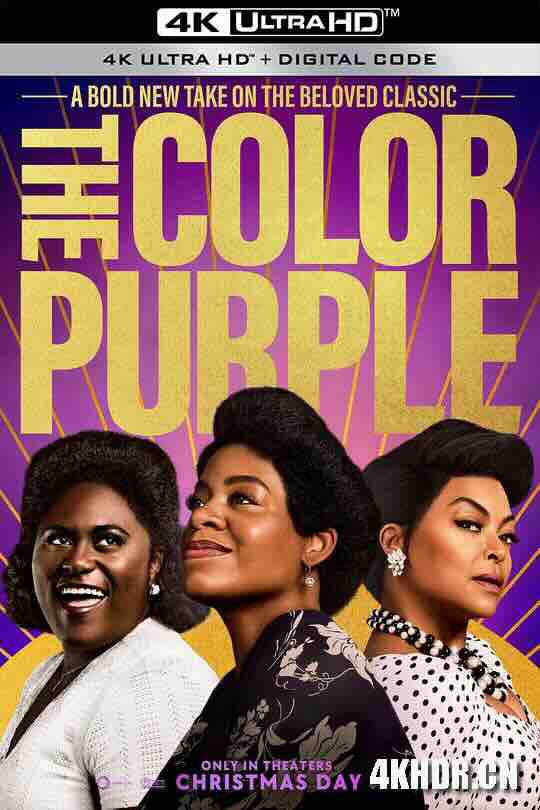 紫色 The Color Purple (2023) / 紫色姐妹花(台) / 4K电影下载 / The.Color.Purple.2023.2160p.WEB.H265-BarneyEggplantAcaiBeetsGrapesCabbagePlums[TGx]