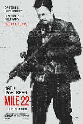 22英里 Mile 22 (2018) / 拳力逃脱(台) / 绝地22哩(港) / 4K电影下载 / Mile.22.2018.DV.2160p.WEB.H265-SLOT
