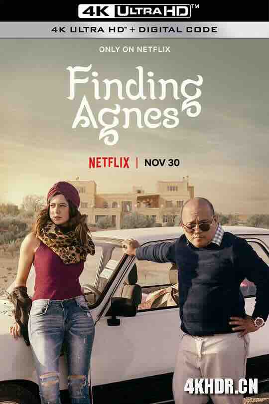 寻母千里行 Finding Agnes (2020) / 4K电影下载 / Finding.Agnes.2020.FILIPINO.2160p.NF.WEB-DL.x265.10bit.SDR.DDP5.1-XEBEC