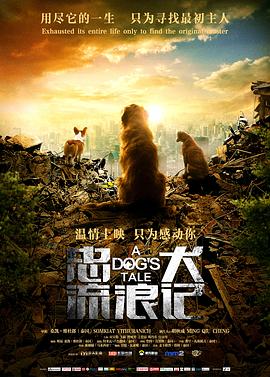忠犬流浪记 (2021) / A Dog's Tale / A.Dogs.Tale.2021.2160p.HQ.WEB-DL.H265.DDP5.1 / 阿里云盘资源