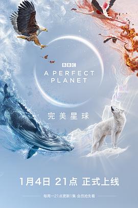 完美星球 A Perfect Planet (2021) / A.Perfect.Planet.S01.2160p.BluRay.REMUX.HEVC.DTS-HD.MA.TrueHD.7.1.Atmos-FGT