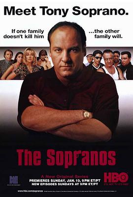 黑道家族 1-6季 The Sopranos Season 1-6 (1999-2006) / The.Sopranos.S01-S06.1080p.BluRay.REMUX.AVC.DTS-HD.MA.5.1-NOGRP[rartv]