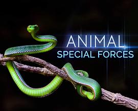 动物特种部队 第一季 Animal Special Forces Season 1 (2017) / 4K.UHD.2160P / 阿里云盘资源