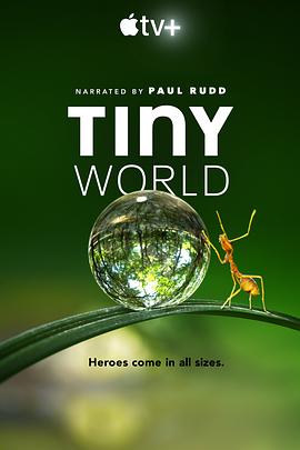 小小世界 1-2季 Tiny World Season 1-2 (2020-2021) / Tiny.World.S01-S02.2160p.WEB.h265-KOGi / 4K.UHD / 阿里云盘资源
