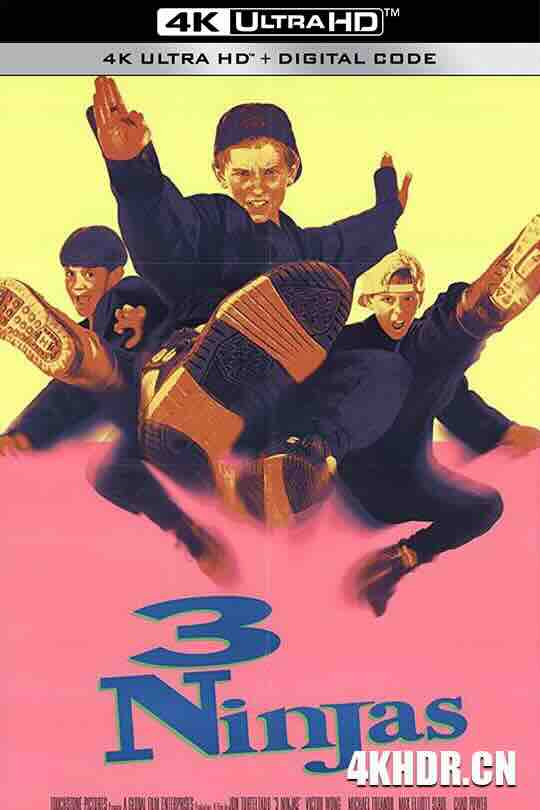 忍者小英雄 3 Ninjas (1992) / 小鬼难缠又当家 / 忍者小武士 / 4K电影下载 / 3.Ninjas.1992.2160p.Ai-Upscaled.10Bit.H265-DirtyHippie.rife4.14v2-60fps