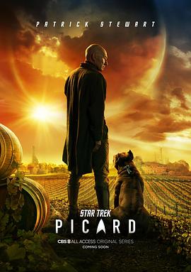 星际迷航：皮卡德 1-3季 Star Trek: Picard Season 1-3 (2020-2023) / 星际迷航：皮卡尔 / Star.Trek.Picard.S01.1080p.BluRay.REMUX.AVC.DTS-HD.MA.5.1-BTN[rar