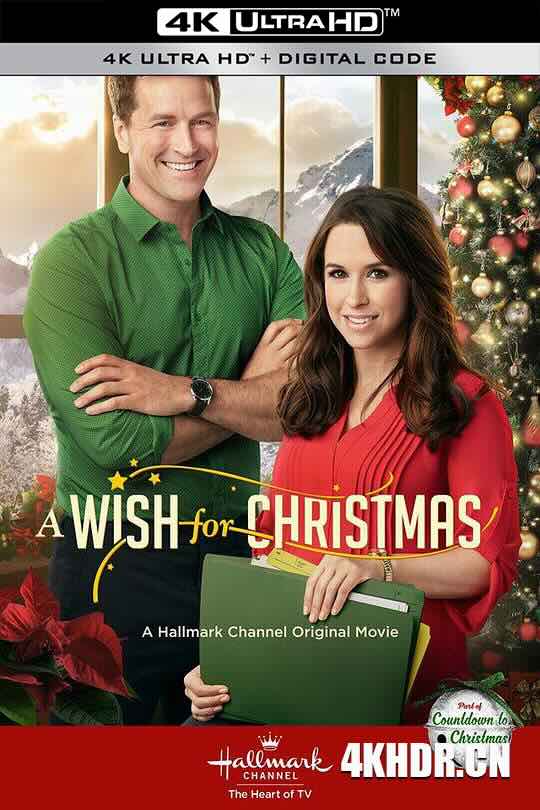 圣诞心愿 A Wish For Christmas (2016)