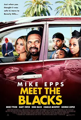 拜见布莱克一家 Meet The Blacks (2016)