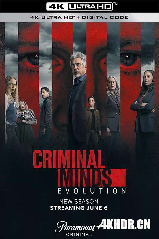 犯罪心理：演变 第十七季 Criminal Minds: Evolution Season 17 (2024) 犯罪心理 复活版/犯罪心理 第十七季/犯罪心理：进化