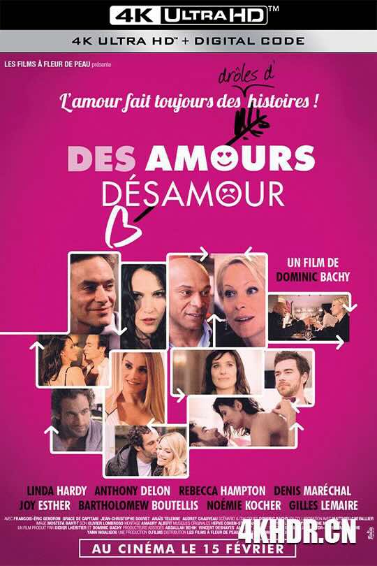 出入爱情 Des amours, désamour (2017)
