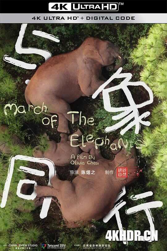 与象同行 (2022) March of the Elephants