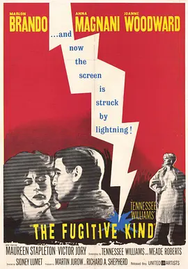 逃亡者 The Fugitive Kind (1960) 欲火情焰/漂泊者/流浪者