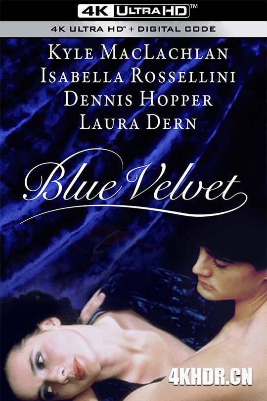 蓝丝绒 Blue Velvet (1986) 蓝色夜合花(港) / 蓝色天鹅绒