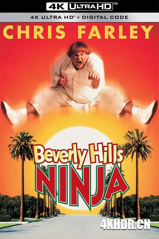 比佛利武士 Beverly Hills Ninja (1997) 比佛利山威龙(台)