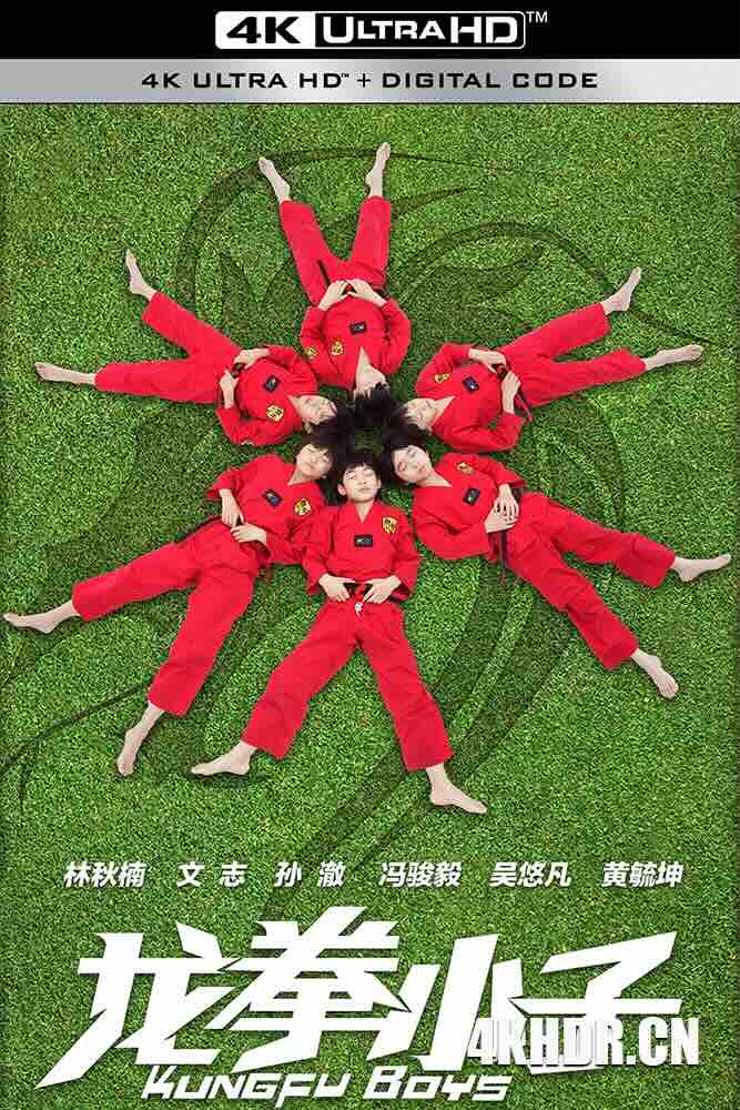 龙拳小子 (2016) Kung Fu Boys/豆瓣: 4.7