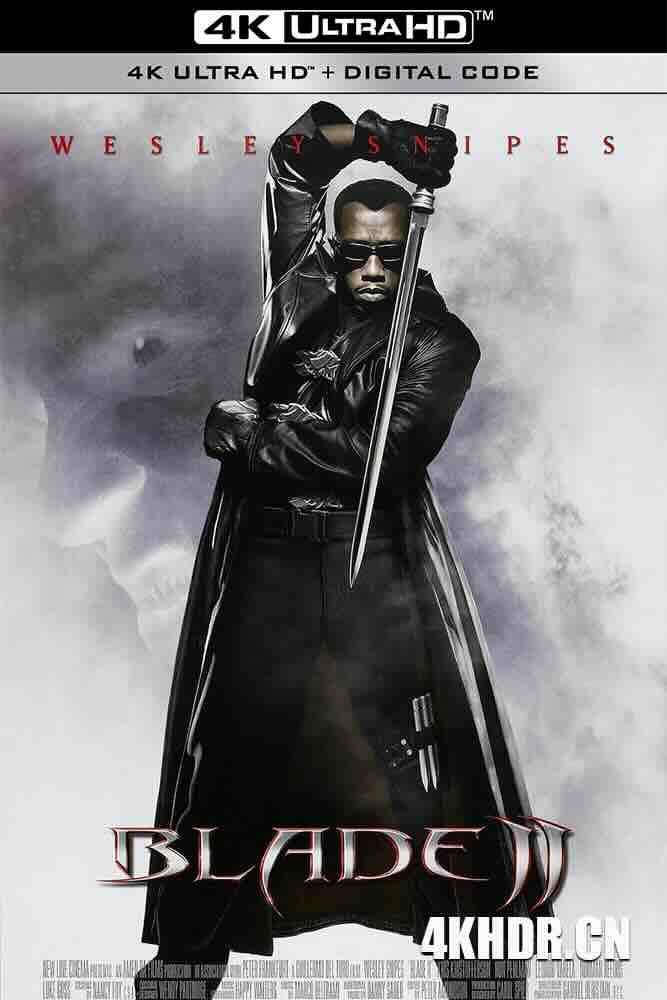 刀锋战士2 Blade II (2002) 幽灵刺客2：变种复活(港)/刀锋2/豆瓣: 7.1