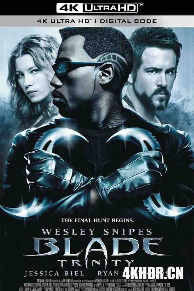 刀锋战士3 Blade: Trinity (2004) 幽灵刺客III 终极尸杀(港)/刀锋战士：三位一体/幽灵刺客3/豆瓣: 6.7