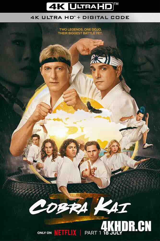 眼镜蛇 第六季 Cobra Kai Season 6 (2024) 眼镜蛇最终季/眼镜蛇道馆/豆瓣: