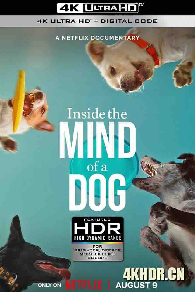 汪星人的奇思妙想 Inside the Mind of a Dog (2024) /美国/豆瓣: 7.2