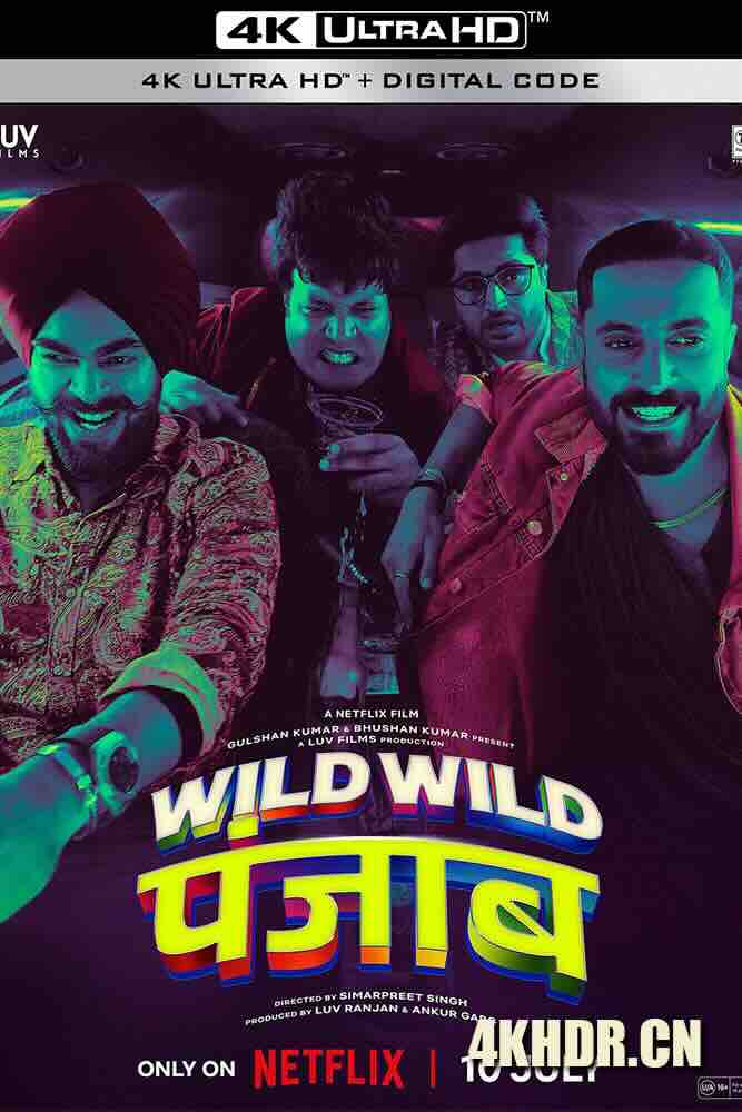 狂野分手团 Wild Wild Punjab (2024) /印度/豆瓣: