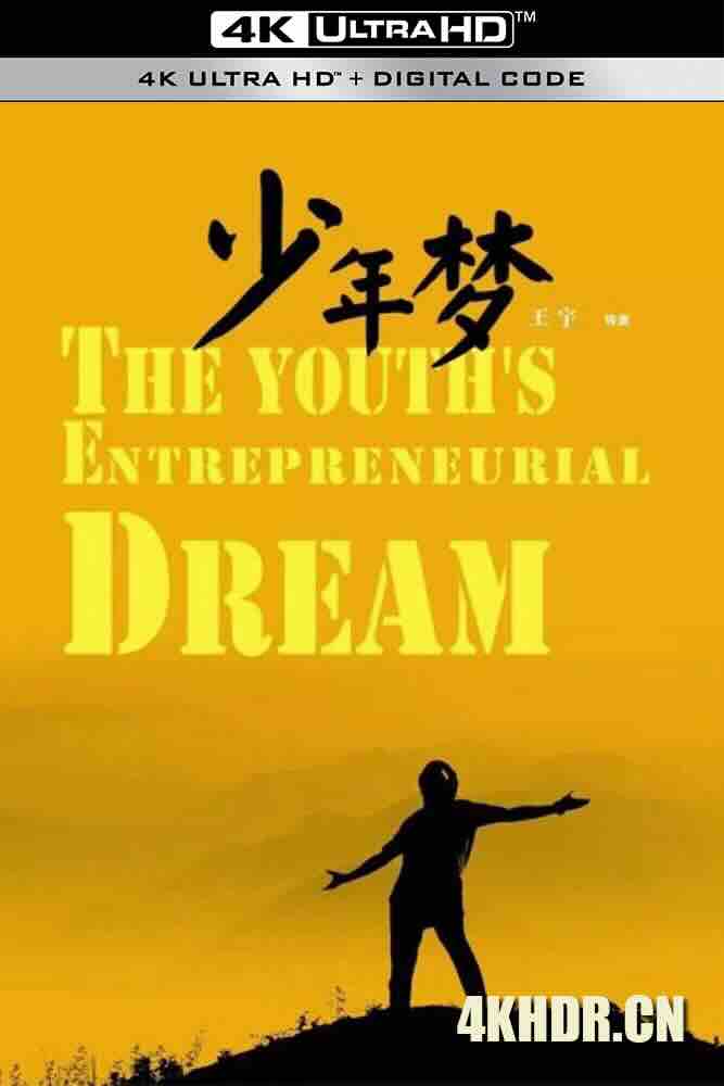 少年梦 (2016) The Youth's Entrepreneurial Dream/Dream of Youth/中国大陆/豆瓣: