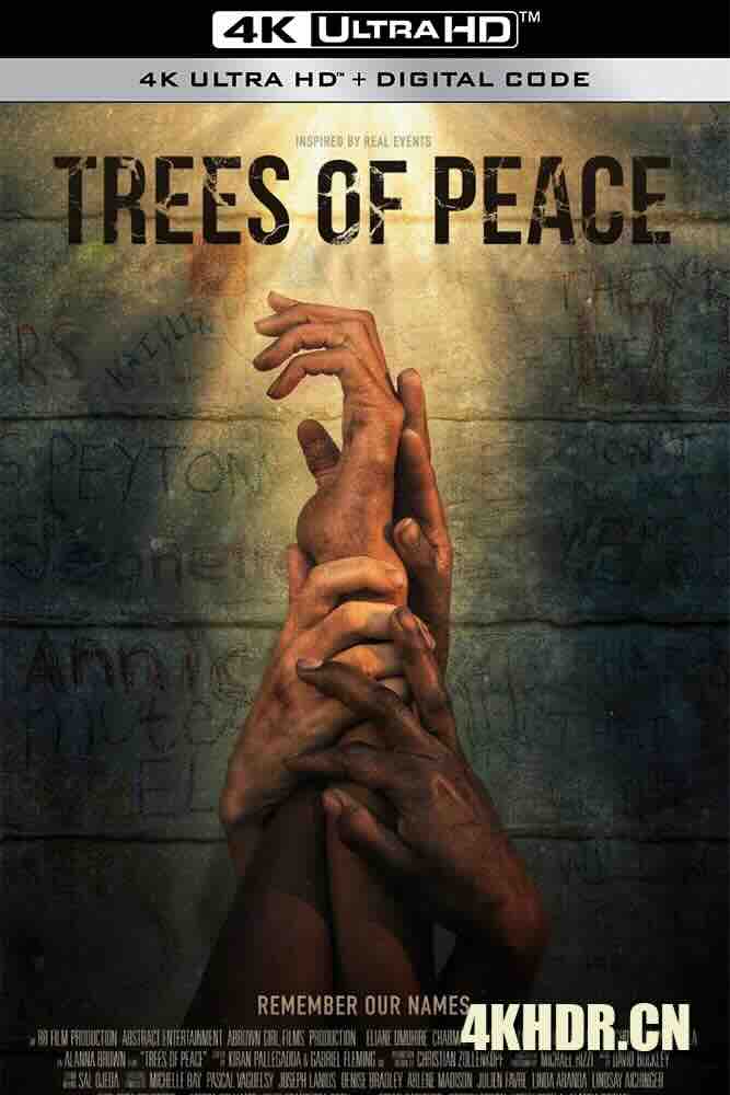 和平树 Trees of Peace (2021) /美国/豆瓣: 6.2