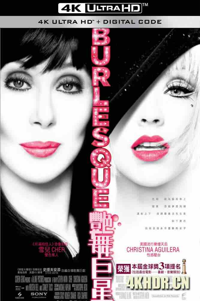 滑稽戏 Burlesque (2010) 舞娘俱乐部(台)/艳舞巨星(港)/蓓蕾时刻/美国/豆瓣: 7.8