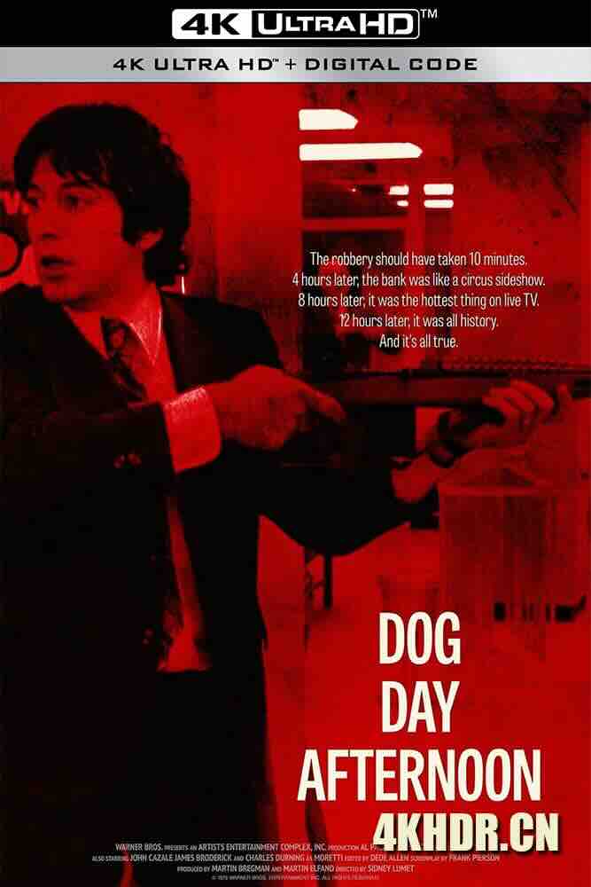 热天午后 Dog Day Afternoon (1975) 黄金万两(港)/炎热的下午/狗日的下午(豆友译名)/美国/豆瓣: 8.7