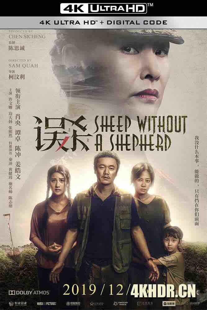 误杀 (2019) 误杀瞒天记中国版/Sheep Without a Shepherd/Visual/中国大陆/豆瓣: 7.5