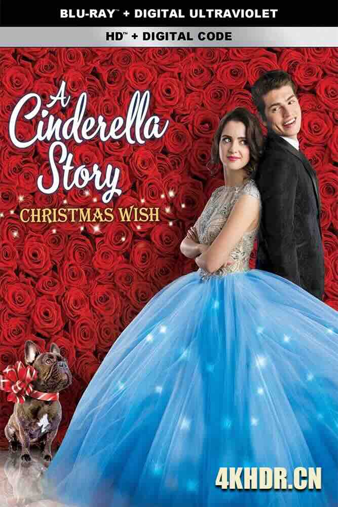 灰姑娘的故事：圣诞愿望 A Cinderella Story: Christmas Wish (2019) /美国/豆瓣: 5.8