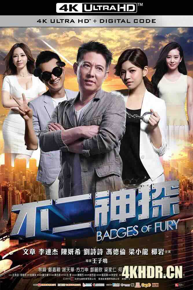 不二神探 (2013) Badges of Fury/中国大陆/豆瓣: 4.8