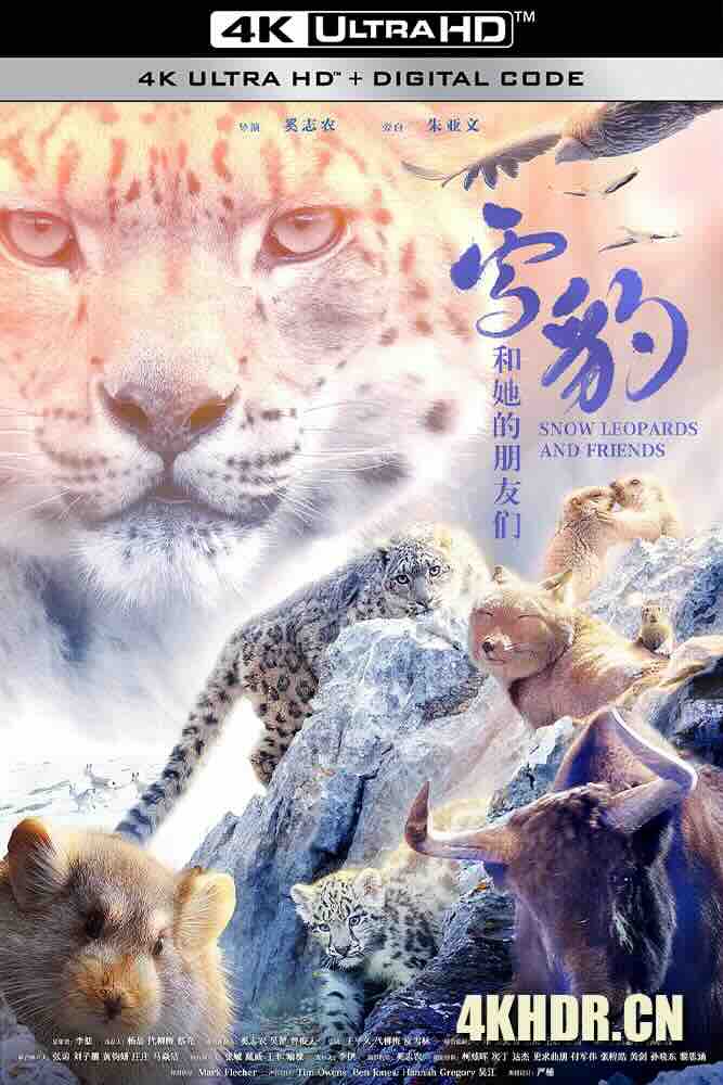 雪豹和她的朋友们 (2023) Snow Leopards and Friends/中国大陆/豆瓣: 8.3