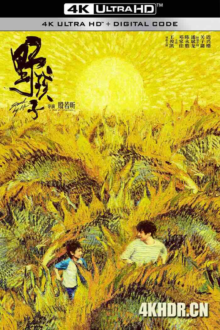 野孩子 (2024) 小少年/Stand By Me/中国大陆/豆瓣: 6.8