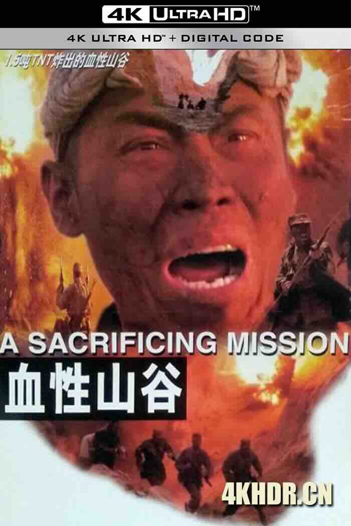 血性山谷 (2001) A Sacrifcing Mission/中国大陆/豆瓣: 7.3