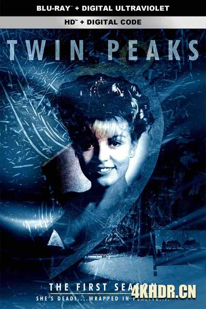 双峰 1-3季 Twin Peaks Season 1-3 (1990) 双峰镇 1-3季/美国 大卫·林奇 豆瓣: 9.0