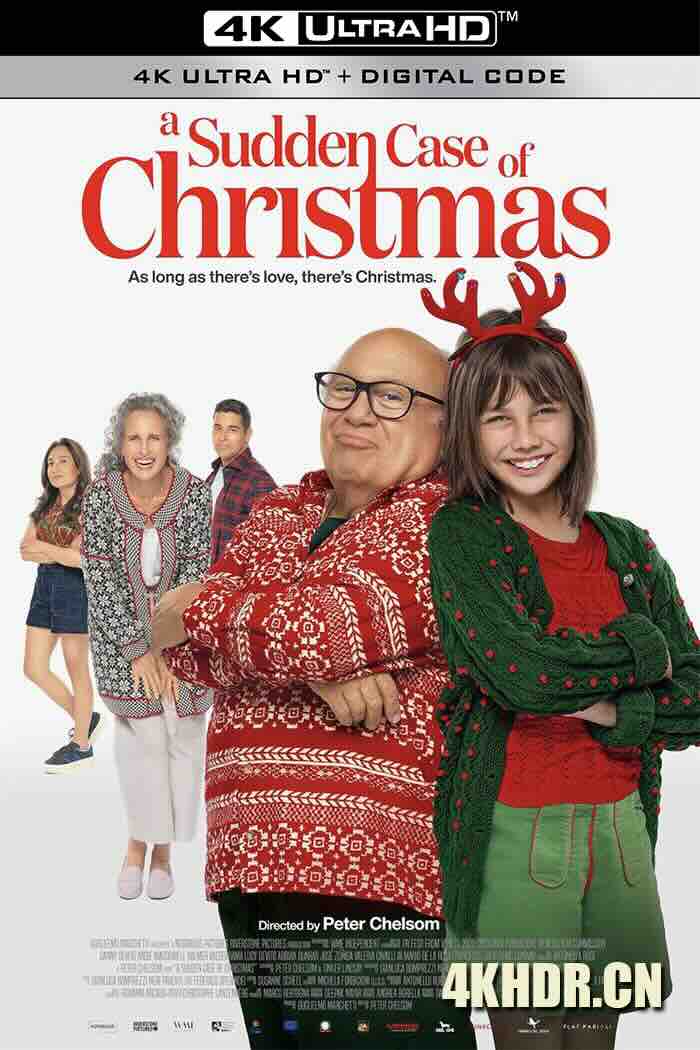 A Sudden Case of Christmas (2024) /意大利/英国/豆瓣: