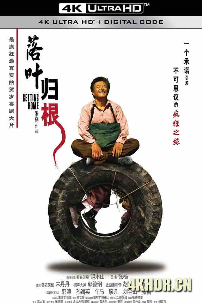 落叶归根 (2007) 落叶(原名)/回家/叶落归根/中国大陆/中国香港/豆瓣: 8.5