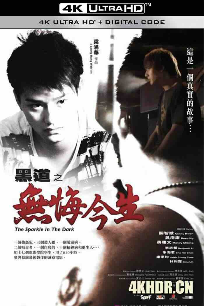 黑道之无悔今生 (2008) The Sparkle in the Dark/中国香港/豆瓣: 6.4