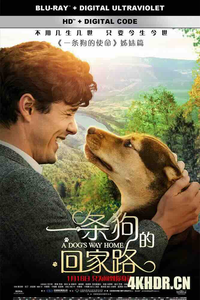 一条狗的回家路 A Dog's Way Home (2019) 贝拉400哩的约定(港)/为了与你相聚(台) [中国大陆/美国]豆瓣: 6.8