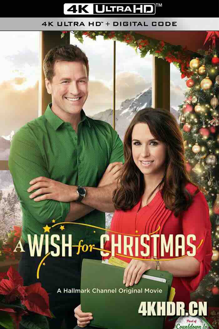 圣诞心愿 A Wish For Christmas (2016)  [加拿大/美国]豆瓣: