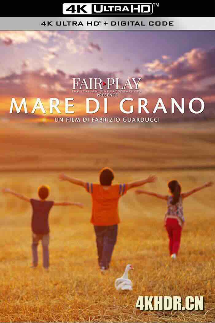 托斯塔纳天堂 Mare di grano (2016) A Tuscan Heaven(英) [意大利]豆瓣: 7.2