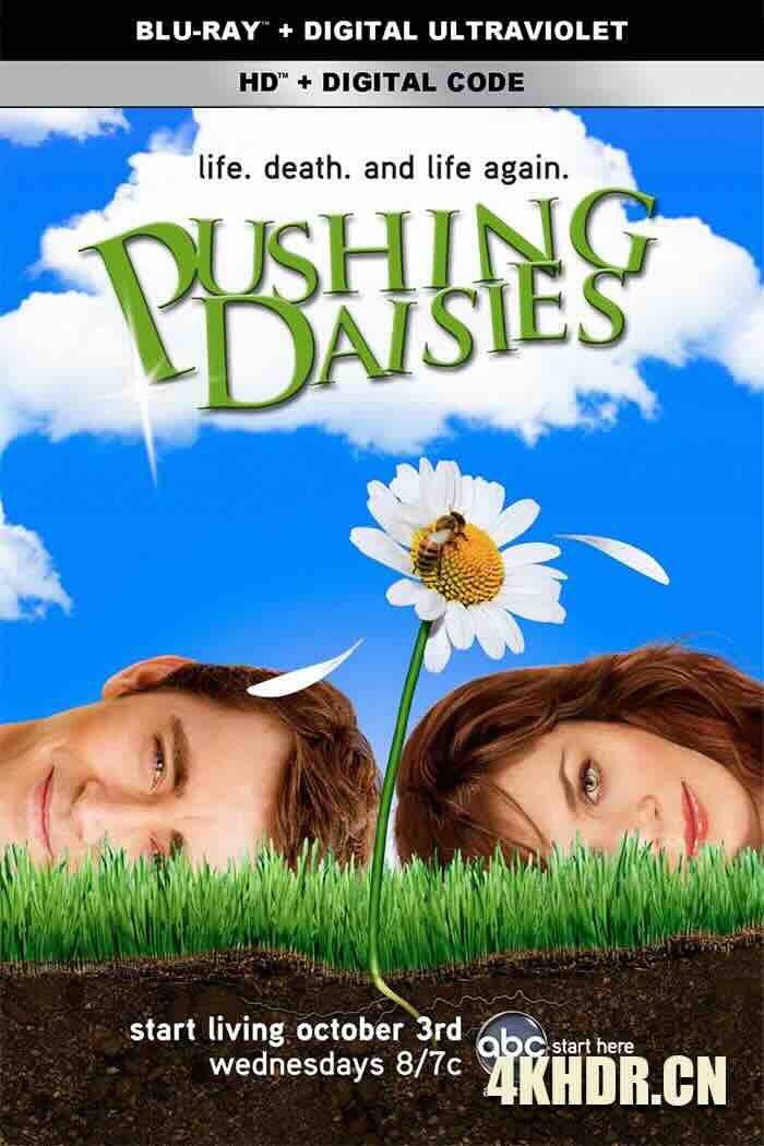 灵指神探 第一季 Pushing Daisies Season 1 (2007) 冥侦探艾艾 第一季/转世还阳 第一季 [美国]豆瓣: 7.8