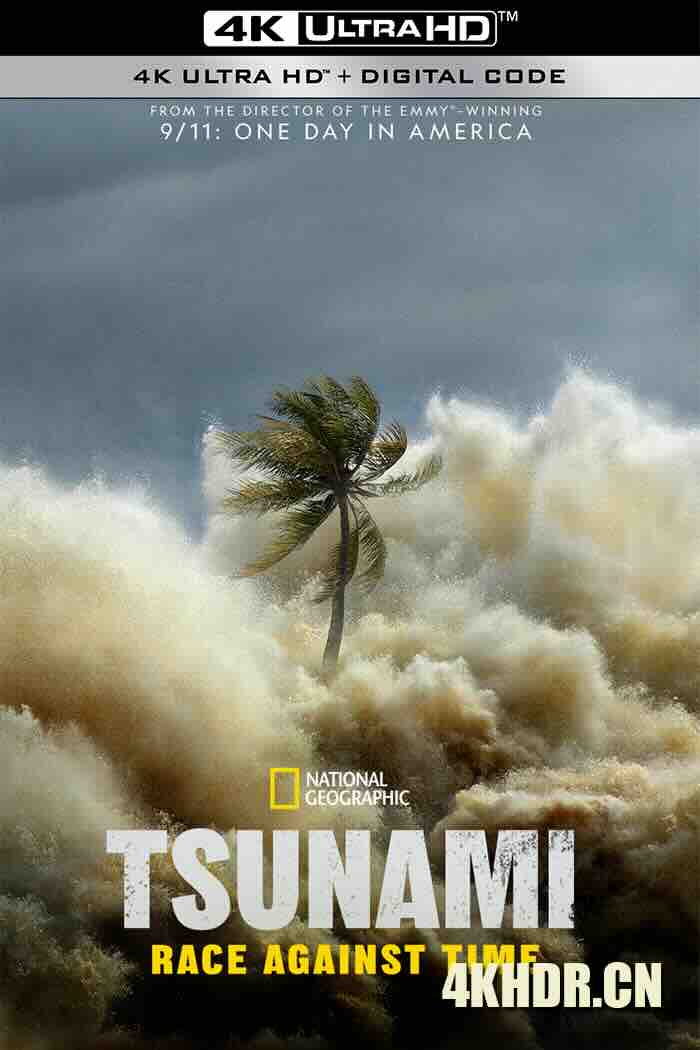 海啸：与时间赛跑 Tsunami: Race Against Time (2024) Tsunami: Wettlauf gegen die Zeit/史上最大級の自然災害！インド洋大津波 [美国]豆瓣: