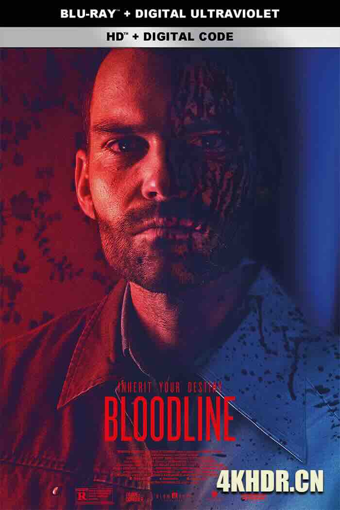 血亲 Bloodline 2019 血脉[美国]豆瓣: 6.2