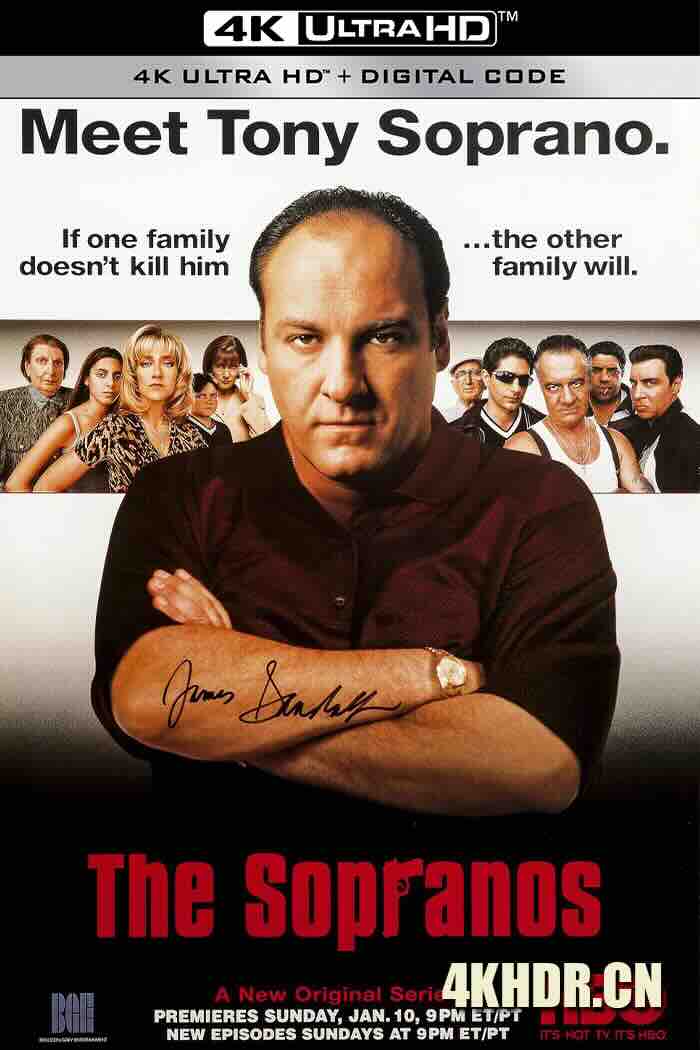 黑道家族 1-6季 The Sopranos Season 1 1999 人在江湖(港)[美国]豆瓣: 8.9