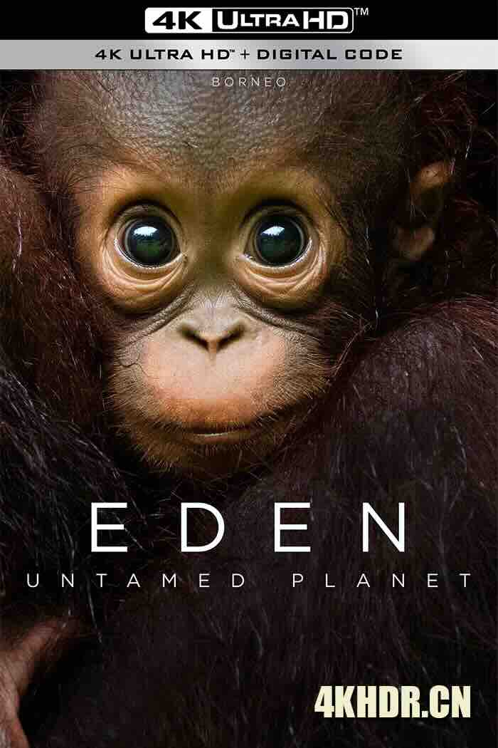 伊甸园：最后的秘境 Eden: Untamed Planet 2021 [英国]豆瓣: 9.2