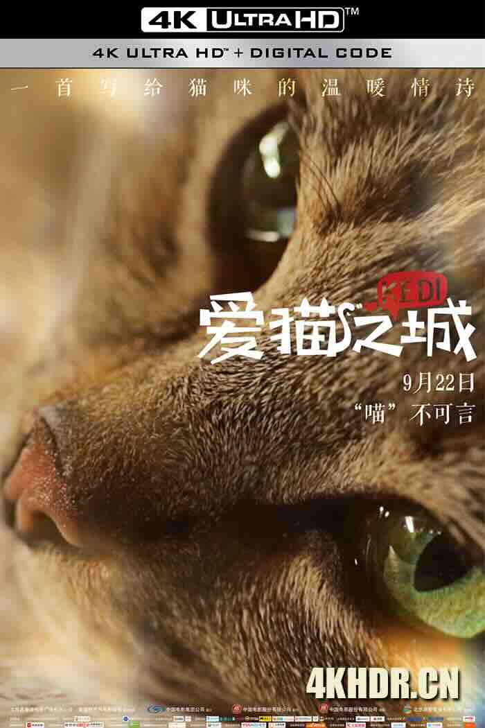 爱猫之城 Kedi 2016 伊斯坦布尔的猫/走过猫咪圣地(港) [土耳其/美国]豆瓣: 8.3